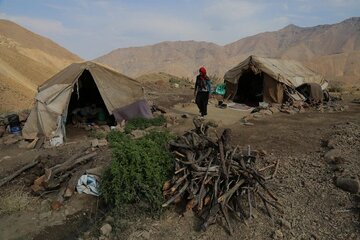 کوچ پاییزه خانوارهای عشایر قزوین آغاز شد