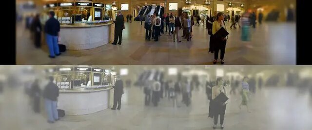 گربهها شما را این شکلی میبینند / عکس