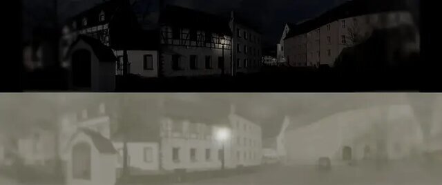 گربهها شما را این شکلی میبینند / عکس