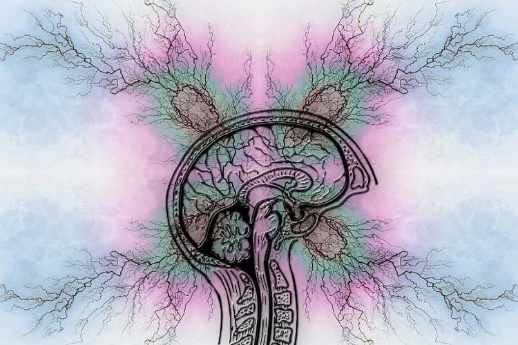 آلزایمر یک بیماری خودایمنی است؟ کشف نظریه انقلابی