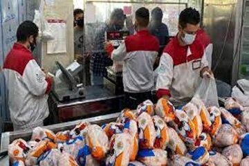 اخطار وزیر جهاد کشاورزی به بازار مرغ/ مرغ را گرانتر از این قیمت نفروشید