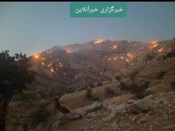 ارتفاعات کوه دلا پس از خاموشی بار دیگر شعله‌ور شد