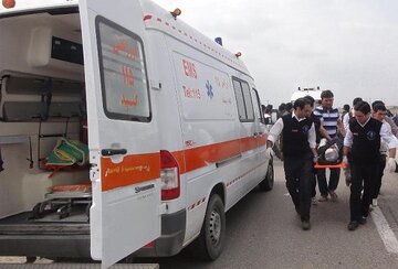انحراف مینیبوس از جاده ۱۴ مصدوم برجای گذاشت