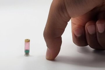 انقلاب در پزشکی: چاپگر زیستی بلعیدنی زخم‌های درون بدن را بدون جراحی ترمیم می‌کند