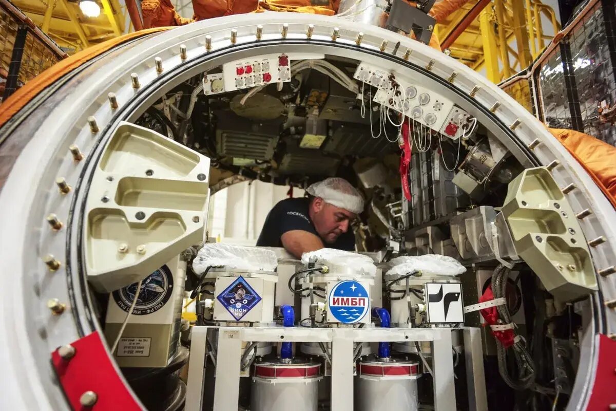 بازگشت «کشتی نوح» روسیه با ۷۵ موش و هزاران مگس از فضا