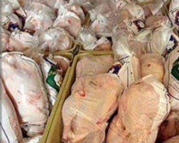 بیش از ۷۷۰۰ کیلوگرم مرغ فاسد در همدان کشف و معدوم شد