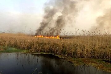 تداوم آتش‌سوزی هورالعظیم پس از هفت ماه