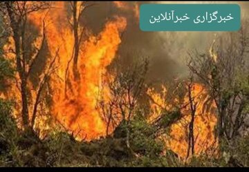 تلاش بی‌وقفه برای مهار آتش‌سوزی در کوه‌های دلا