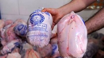 تکذیب قیمت مرغ/ توضیح مدیرعامل سازمان مدیریت میادین میوه و ترهبار