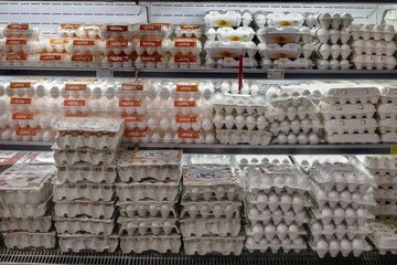جنجال تخممرغ از مرغداری تا بازار/ نیمرو با طعم تورم