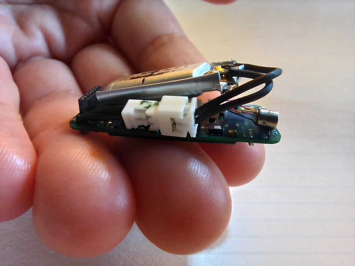 خفاش‌ها چطور مثل جنگنده پرنده‌ها را شکار کرده و در آسمان می‌بلعند