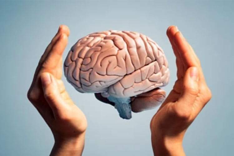 دانشمندان برای انسان مغز مینیاتوری ساختند!