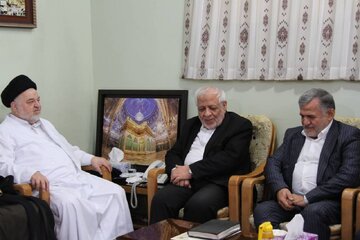 در دیدار اعضای حزب موتلفه با تعدادی مراجع و علما در قم چه گذشت