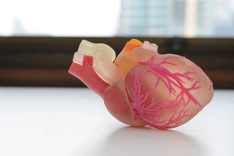 راز سلامت قلب در معاینات چشمی: از OCT تا هوش مصنوعی