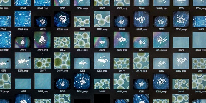 رایانه‌هایی با مغز انسان؛ آینده‌ای که از مرز خیال گذشته است!