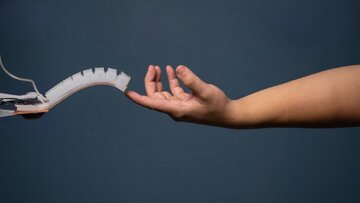 رباتهای نرم با عضلات مصنوعی جدید، ۲هزار برابر وزن خود را بلند میکنند