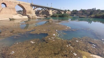رودخانه دز زیر سیطره جلبک‌ها
