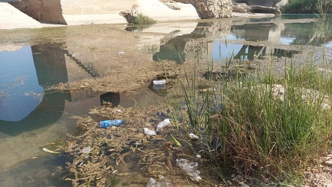 رودخانه دز زیر سیطره جلبک‌ها