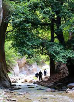 روستای کولیم شهمیرزاد میزبان ۳۰ هنرمند تجسمی