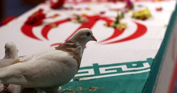 شهادت یکی از ماموران انتظامی در درگیری با  اراذل و اوباش مسلح در این شهر شمالی