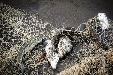 صیادان غیرمجاز در تور محیط‌بانان ایجرودی