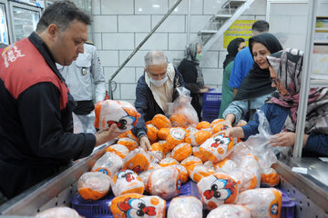 علت گرانی مرغ مشخص شد / چند درصد هزینه تولید با ارز ۲۸۵۰۰ تومانی است؟