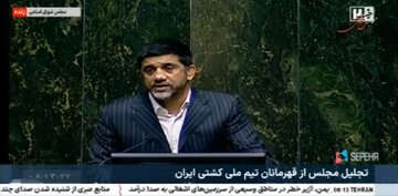 علیرضا دبیر در مجلس: اگر تیم ملی کشتی برنده شود مردم خوشحال تر میشوند یا برجام امضا شود؟/ اجازه ندادهایم فدراسیون کشتی سیاسی شود