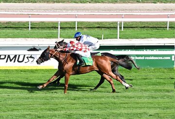 عکس| گرانترین خرید حراج فرانسوی‌ها، تولید ایران است