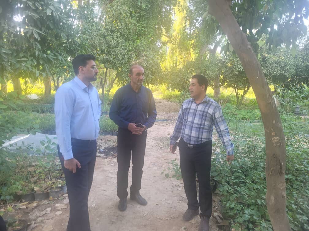 فرماندار لالی طرح زیباسازی و منظر سازی شهر لالی را کلید زد