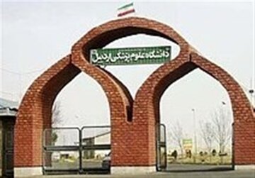 قرار گرفتن دانشگاه علوم پزشکی اردبیل در نظام رتبه‌بندی تایمز ۲۰۲۶