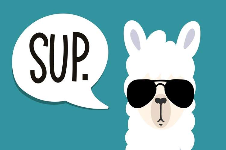 متا لاما؛ همهچیز درباره مدل هوش مصنوعی مولد و متنباز متا