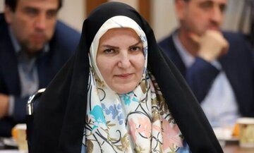 مشاور رئیس جمهور در امور همکاری های اقتصادی از زوایای پنهان پذیرش «CFT» و پیوستن به «FATF» میگوید