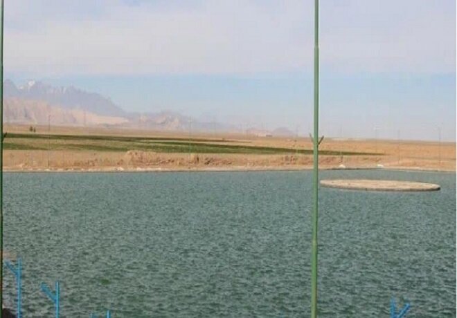 مهابادِ اردستان، سرزمین مردمان خونگرم؛ شهری که بانوانش «قالی» را بدون نقشه می‌بافند