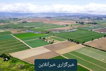 موافقت با صدور ۱۰ سند حدنگار برای ۲۵ هکتار از اراضی کشاورزی مسجدسلیمان