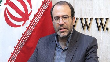 نایب رئیس کمیسیون اقتصادی: 2 بانک سرمایه و دی هم باید تعیین تکلیف شوند