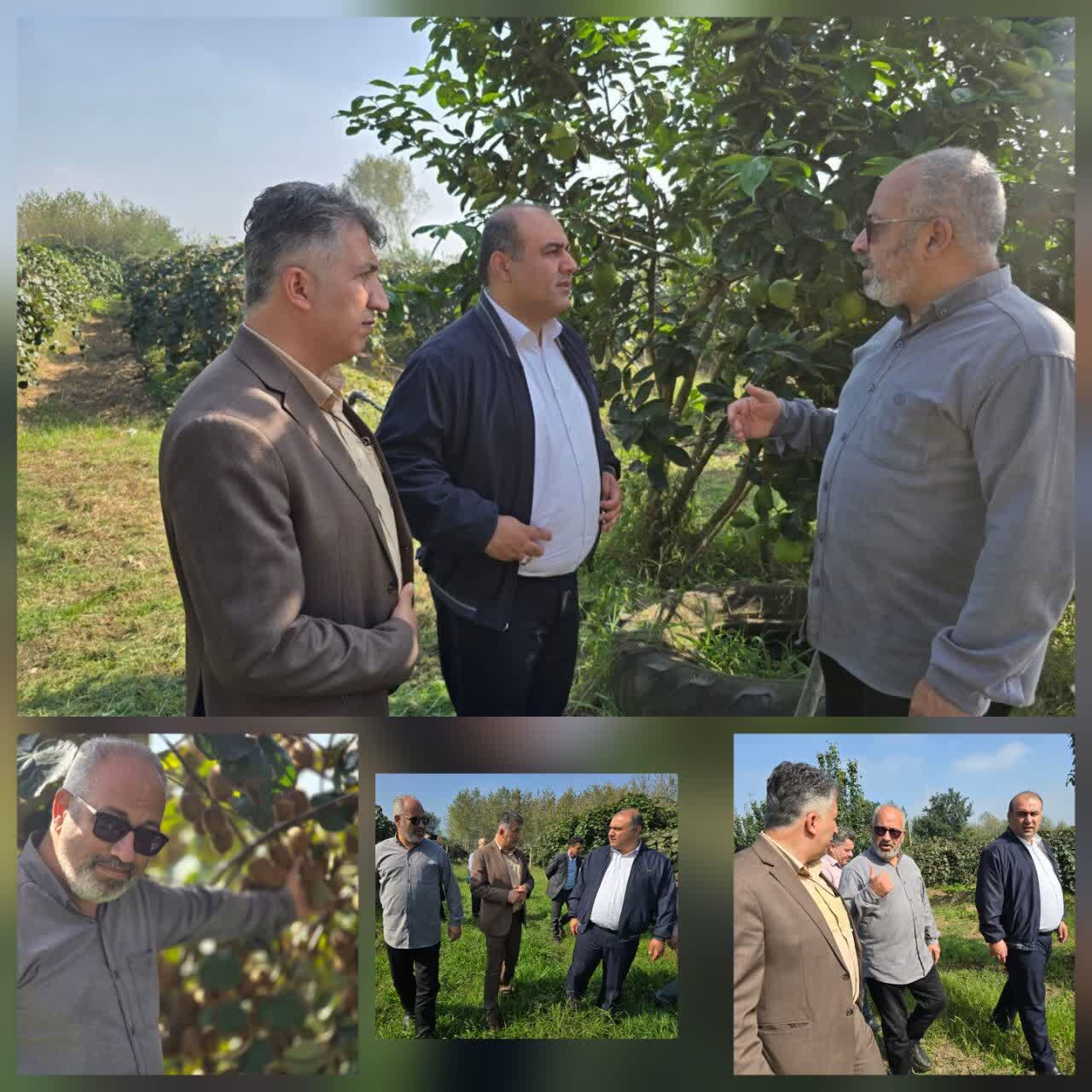 فرماندار لنگرود