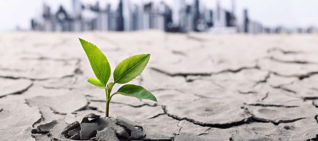 هنر ایستادن پس از هر سقوط؛ چگونه تاب‌آوری را تقویت کنیم؟