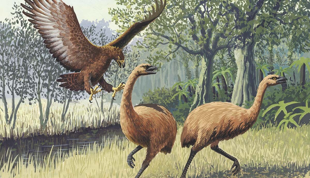 وحشتناکترین عقاب تاریخ که انسان را هم شکار میکرد