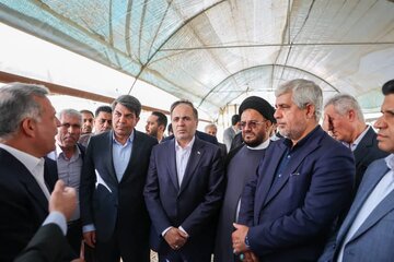 وزیر جهادکشاورزی در جیرفت : طرح‌های نوآورانه حمایت می شوند