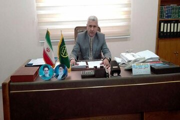 پایان برداشت خرما / بیش از ۶۲ هزار تن محصول نخیلات آبادان برداشت شد