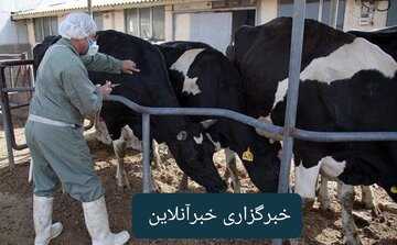 پایان موفقیت‌آمیز تست سل رایگان در گاوداری‌های هفتکل