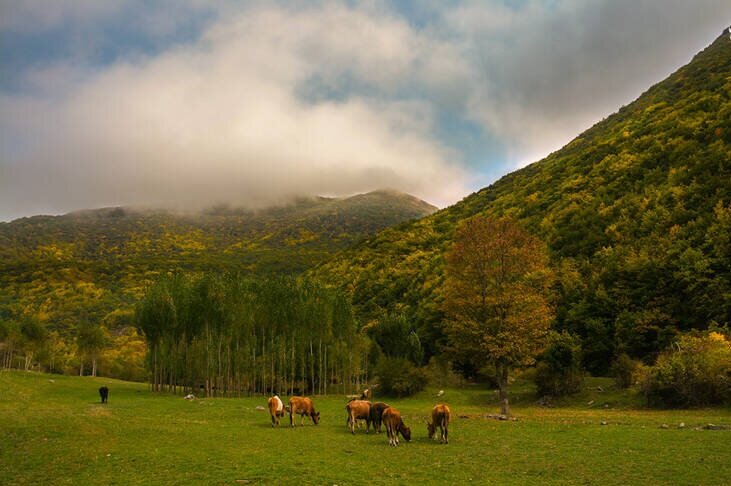 پنجرهای به پاییز ایران/ ۵ مقصد رنگارنگ برای پاییزگردی و خاطرهسازی