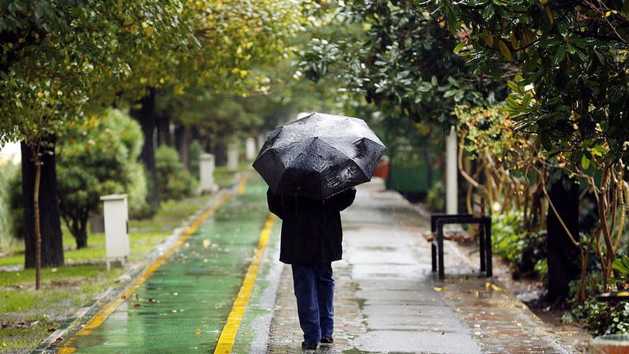 کاهش ۱۰ درجهای دما در این استانها/ هشدار سرمازدگی محصولات کشاورزی در این مناطق/ بالاخره بارش باران و برف نرمال میشود؟