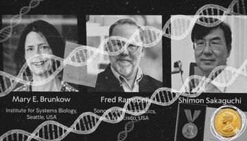 کلید درمان قطعی سرطان در دست برندگان نوبل / خداحافظی با اِماِس، دیابت و بیماریهای خودایمنی