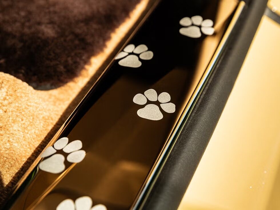 یک سگ صاحب رولزرویس شد! /عکس