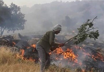 ۲۶۰۰ هکتار از اراضی جنگلی کرمانشاه دچار آتشسوزی شده است