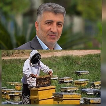 ۸۰ تُن عسل از زنبورستان‌های لنگرود برداشت شد