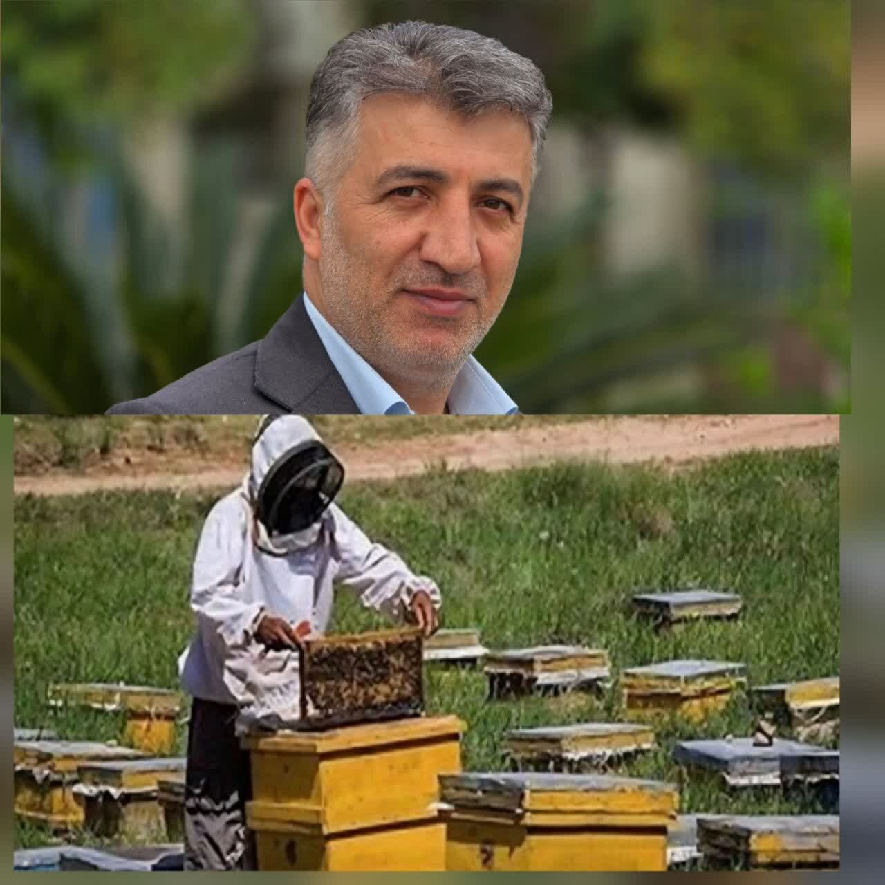 رئیس جهاد کشاورزی لنگرود