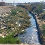 آلودگی میکروبی شدید در رودخانه‌های شهرستان بهارستان