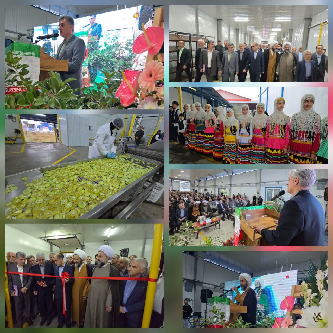 فرماندار رودسر